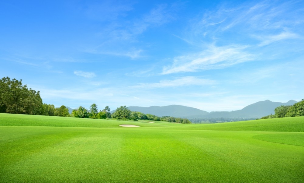Photo of a golf course with a blue sky