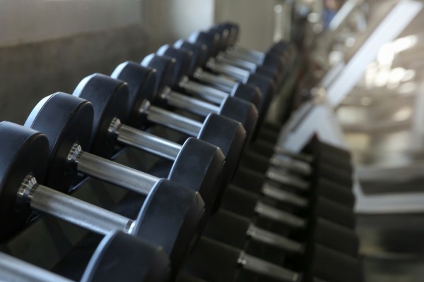 A row of dumbbells in a gym