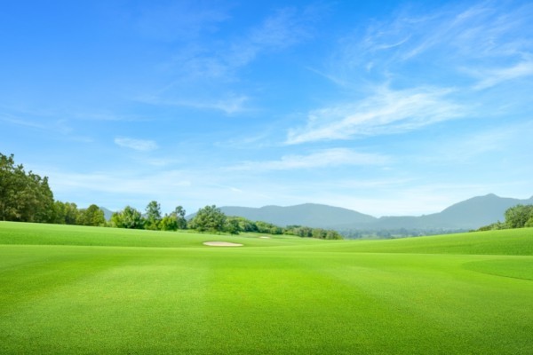 Photo of a golf course with a blue sky