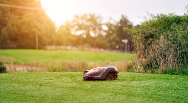 Image of a robot lawnmower