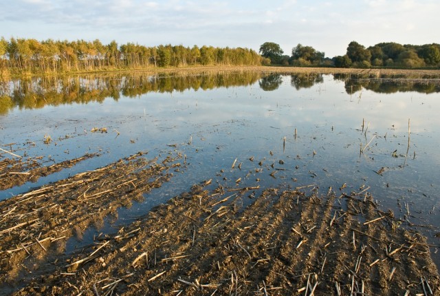 Agriculture land flood