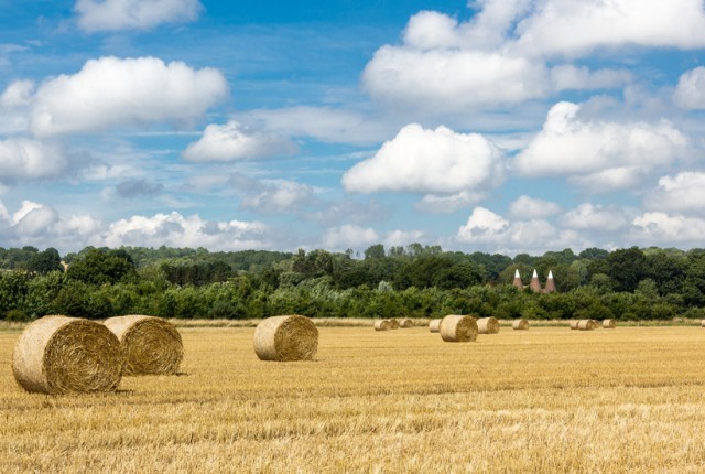 Hay bales sat on a harvested field