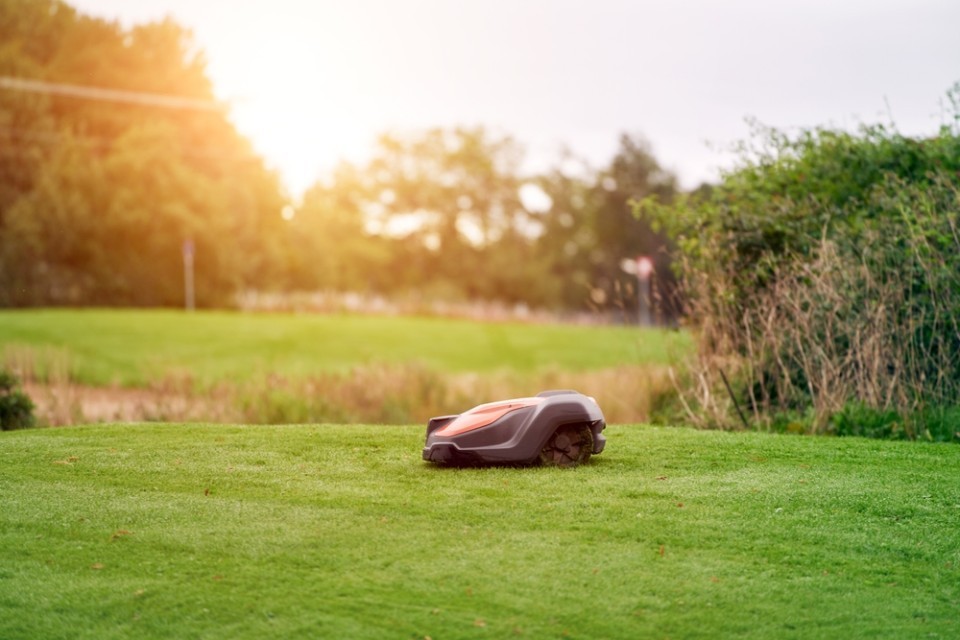 Image of a robot lawnmower